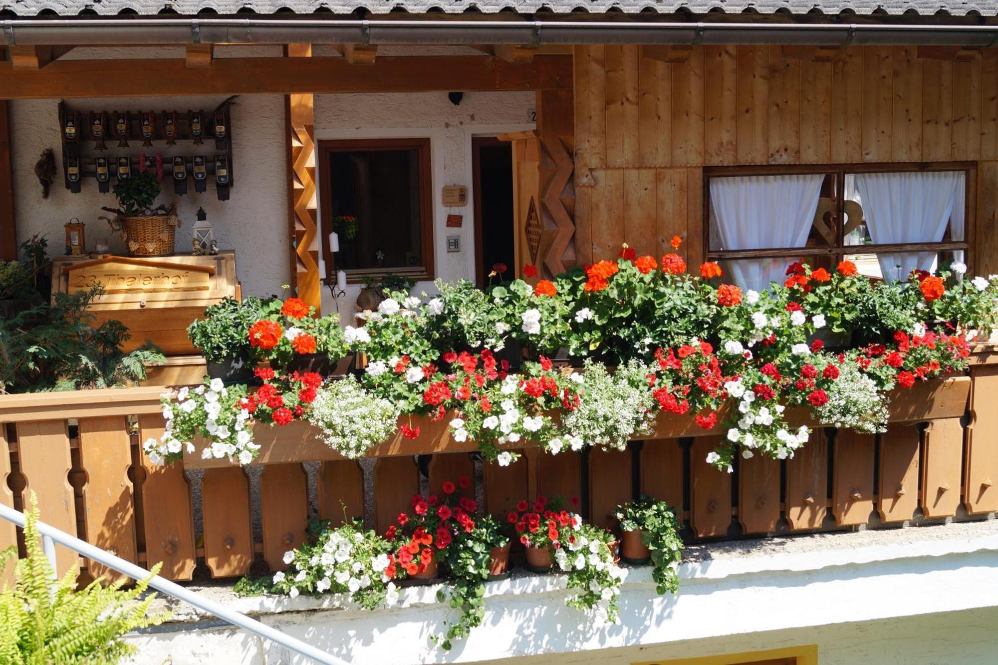 Thalerhof Apartment San Lorenzo di Sebato Exterior photo